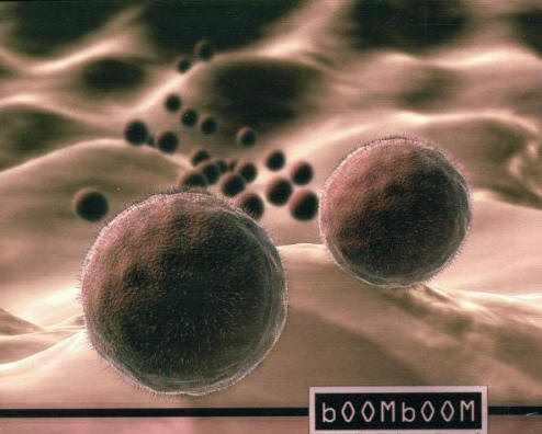 Corona-Virus, bOOMbOOM